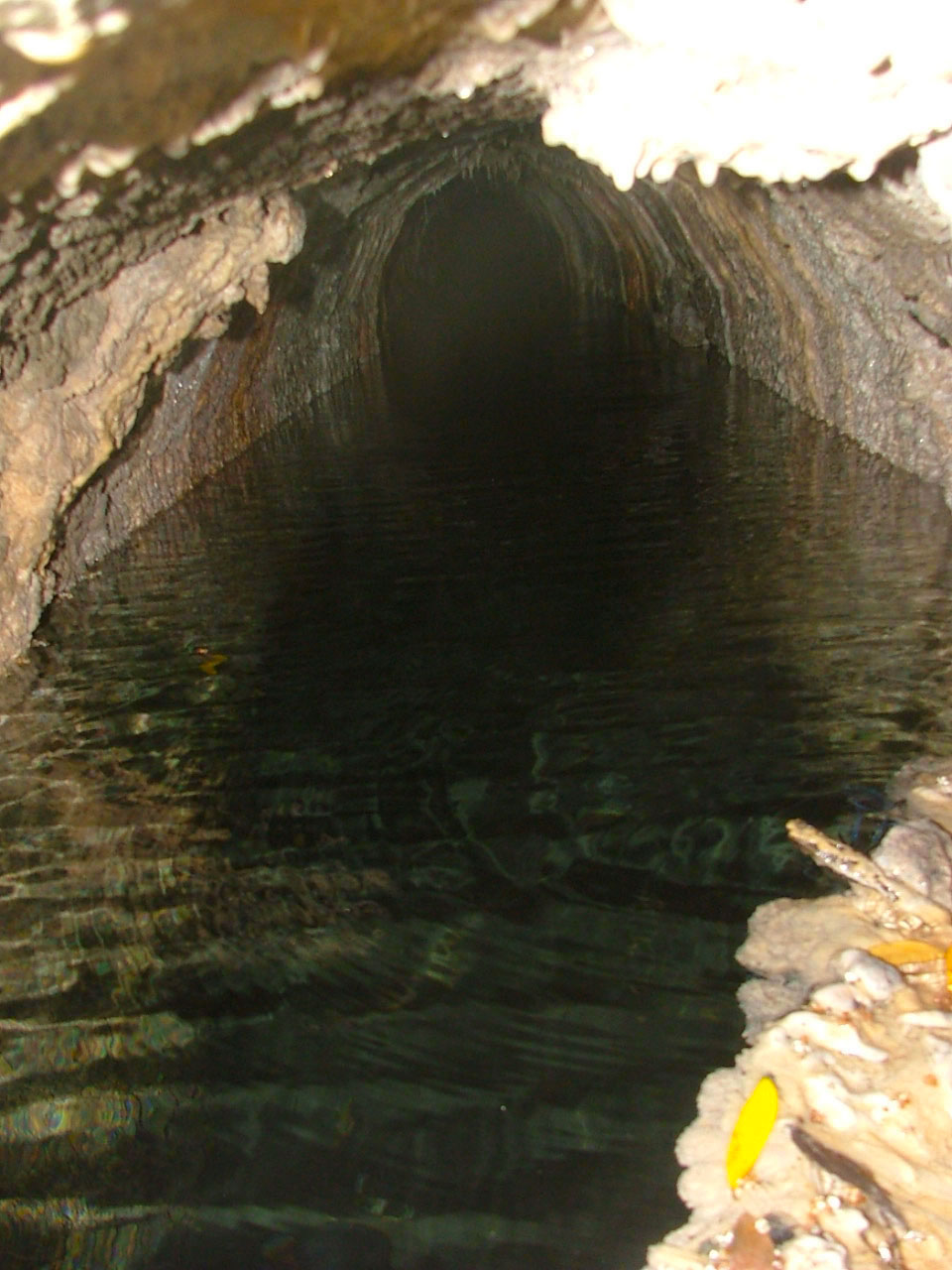 https://www.geoinformatica.it/wp-content/uploads/2015/07/Ispezioni-condotte18.jpg